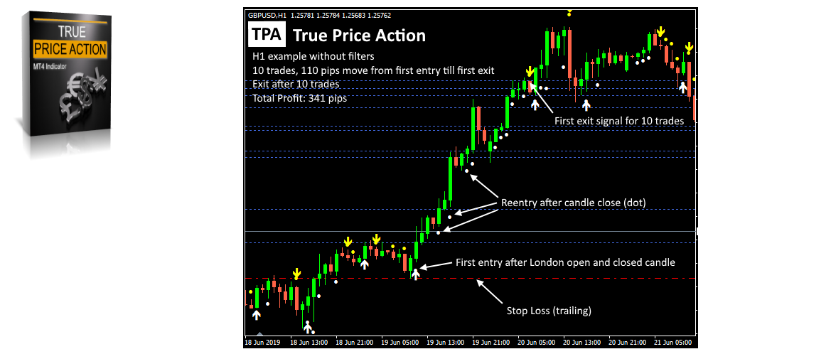tpa true price action indicator mt4 mt5