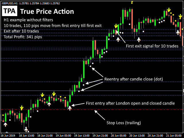 Investsoft Tpa True Price Action Trading Strategy